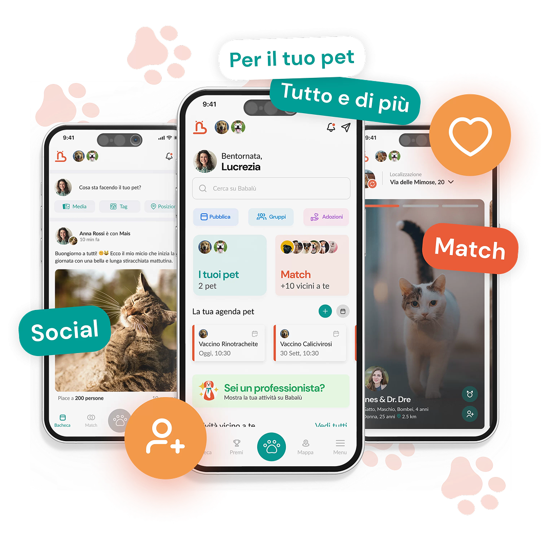 Babalù® - La tua App per il Pet
